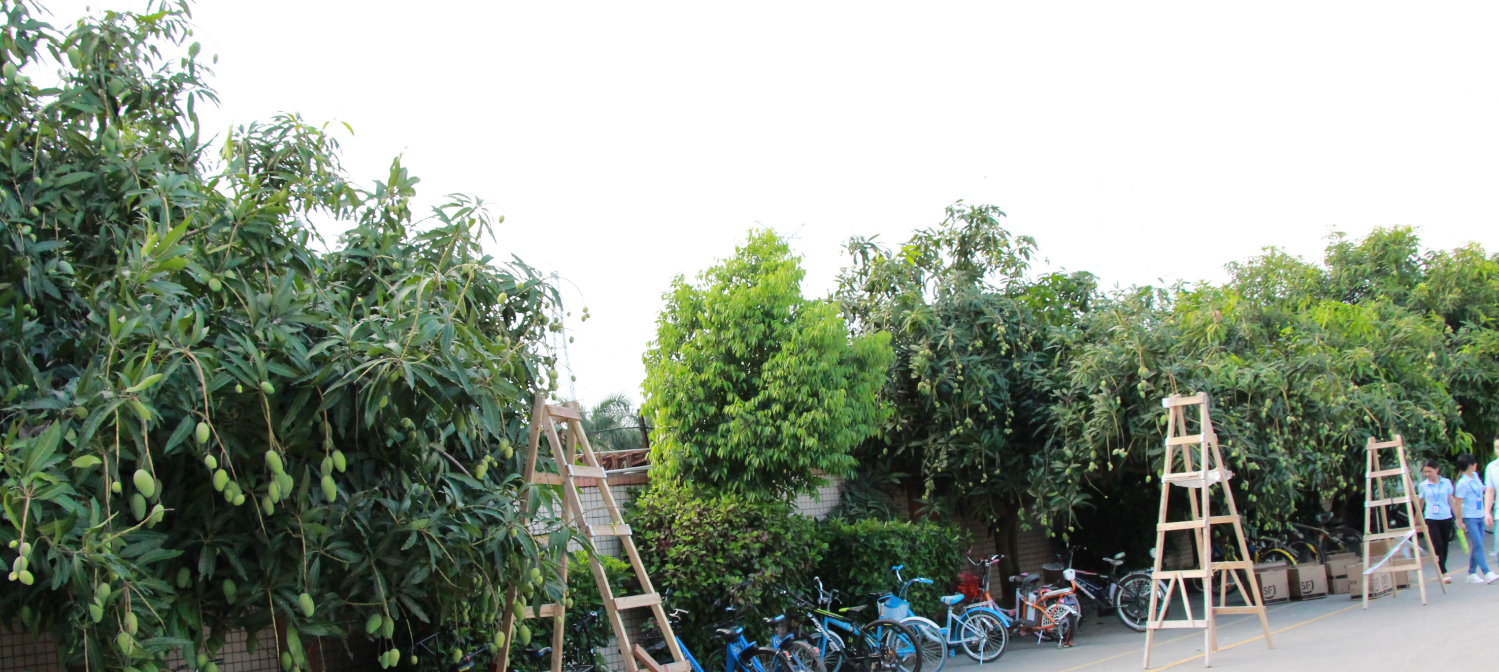 59376ecb9307e.jpg IMG_0045.JPG