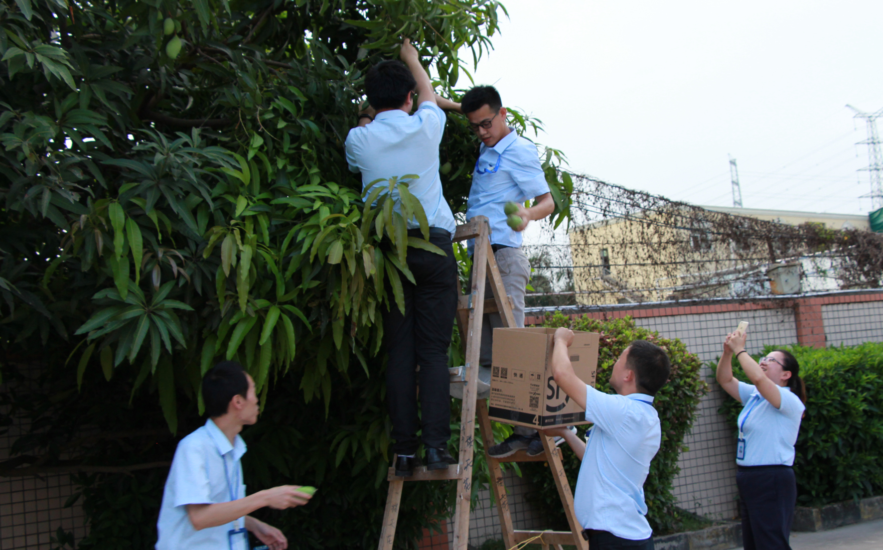 59376f8745a84.jpg IMG_0117.JPG